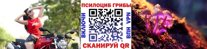 Галлюциногенные грибы Psilocybe  Макушино 